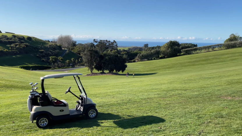 white Golf cart on a wide grass golf court