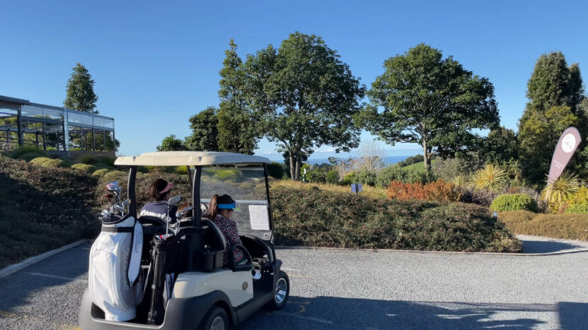 Golf cart driving requirements - do you need a license